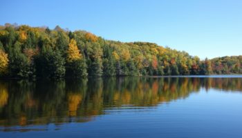 Лесное озеро, вода как зеркало